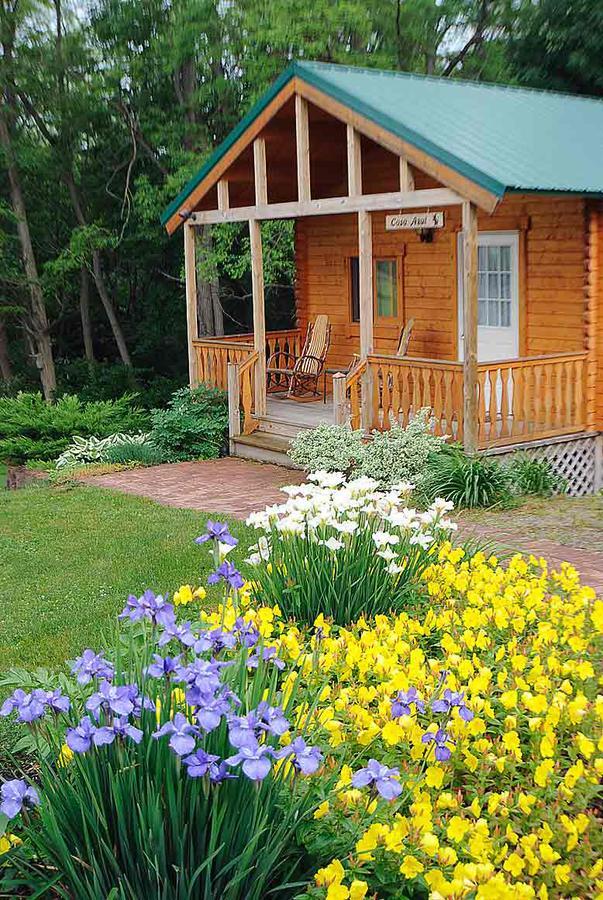 Los Gatos Bed & Breakfast Penn Yan Bagian luar foto