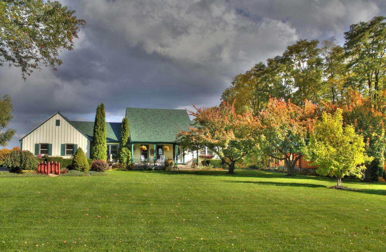 Los Gatos Bed & Breakfast Penn Yan Bagian luar foto