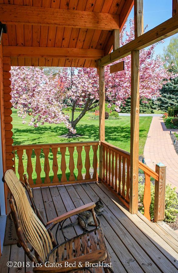 Los Gatos Bed & Breakfast Penn Yan Bagian luar foto